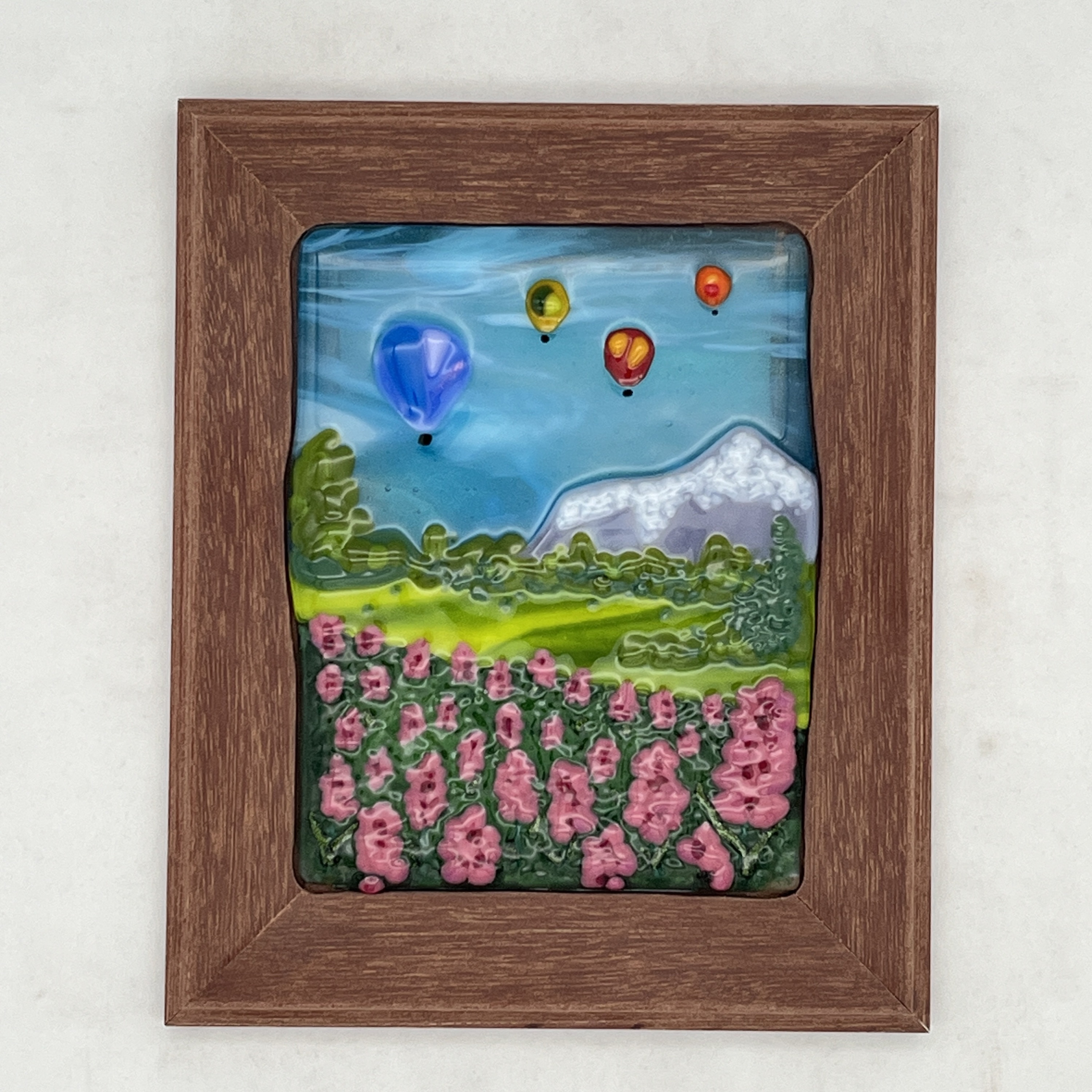 Hot Air Balloon Collection