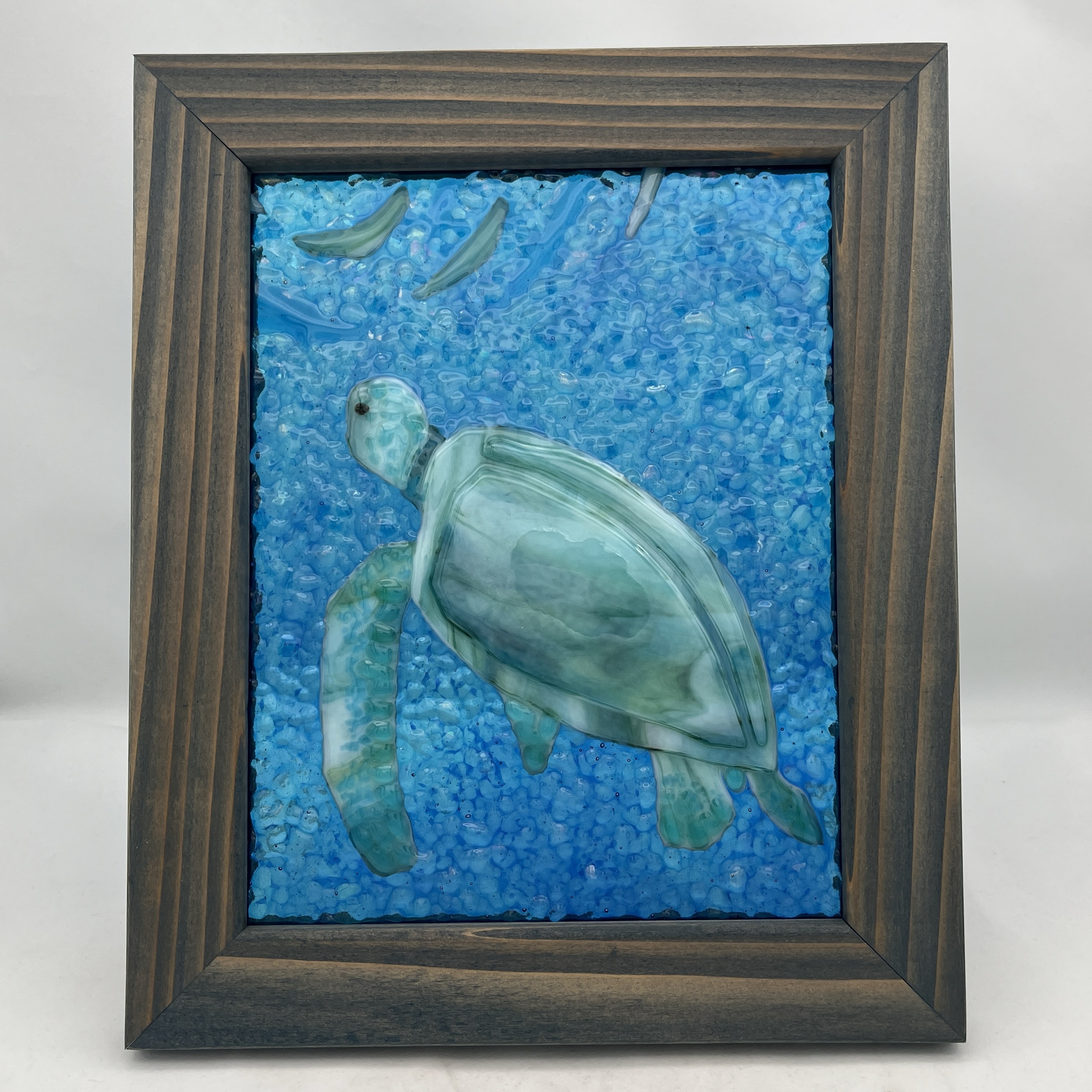 Sea Turtle Collection